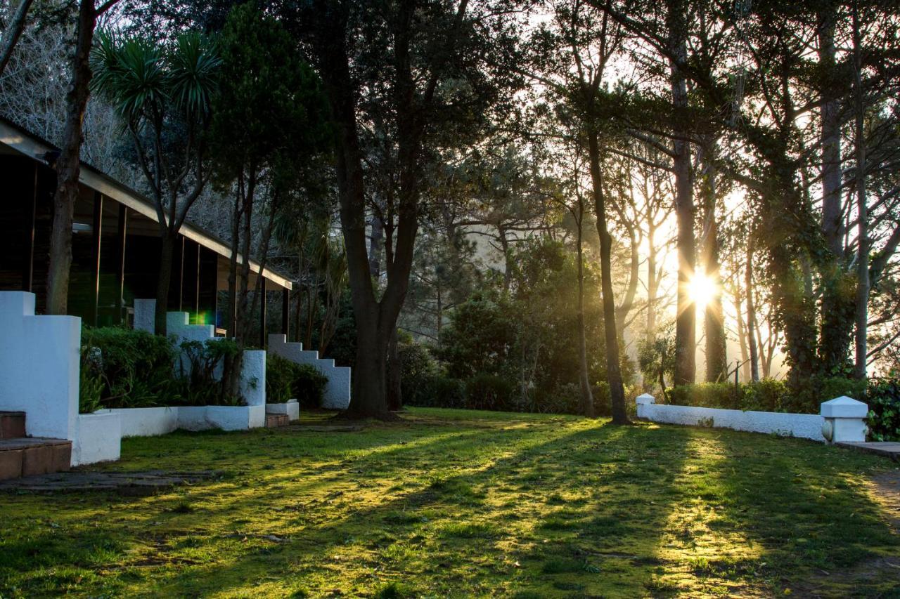 Silvermist Wine Estate Cape Town Luaran gambar
